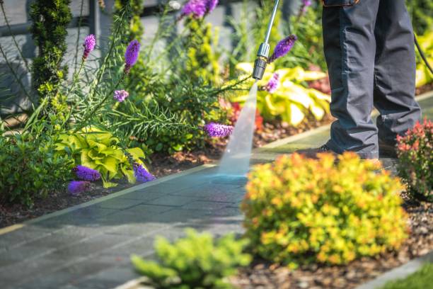 Best Animal Enclosure Cleaning  in Tega Cay, SC